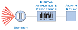 Paradox Digital